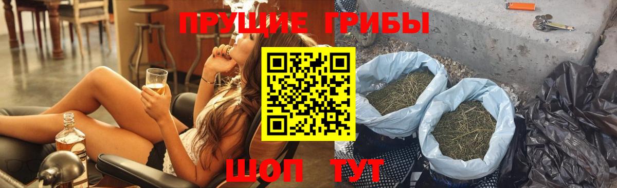 Одинцово  Псилоцибиновые грибы Cubensis  Вход с VPN 